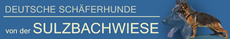 Deutsche Schaeferhunde Welpen - Austria
